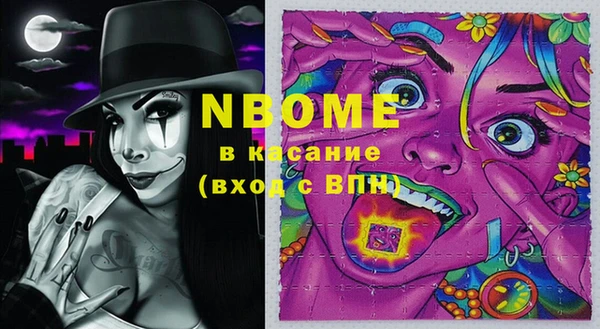 соль ск Верхний Тагил