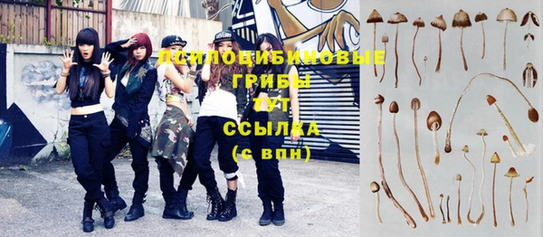 дурь Карталы