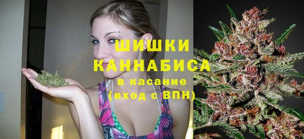 соль ск Верхний Тагил