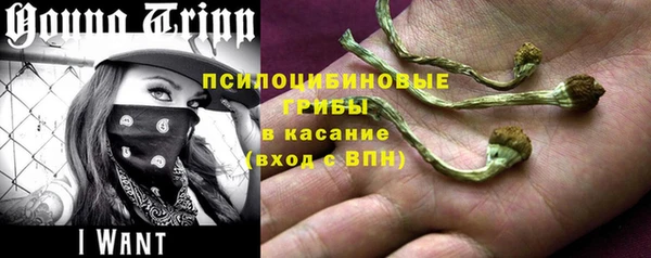mix Каменка
