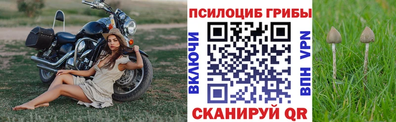 где найти наркотики  hydra зеркало  Галлюциногенные грибы мицелий  Кинель 